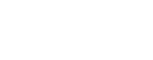 Asset 4